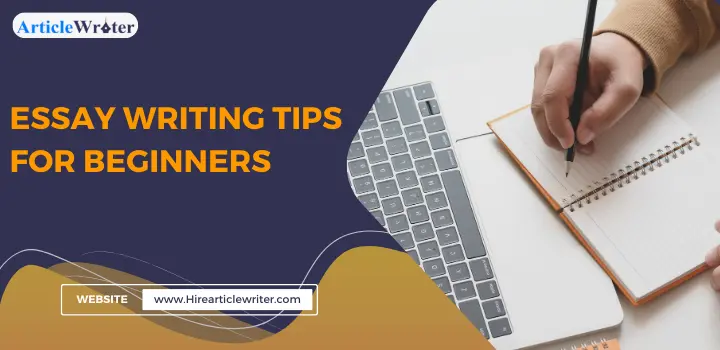 essay writing tips for beginners
